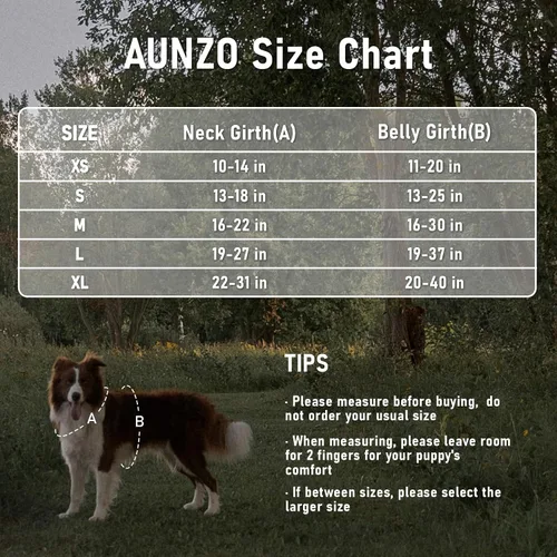 Vista 7 de Arnés para perro sin tirones, chaleco ajustable para perro para caminar fácilmente, material Oxford transpirable, arnés reflectante para mascotas