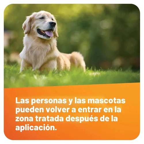 Vista 9 de Scotts - Fungicida para césped DiseaseEx, Controla y previene enfermedades hasta por 4 semanas, trata hasta 5.000 pies cuadrados, 10 libras.