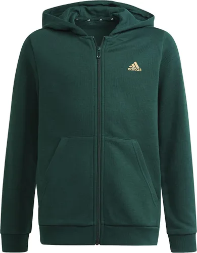 Vista 2 de adidas GS4260 B BL FZ HD Sweat Collegiate GreenSemi Solar Gold, verde, dorado
