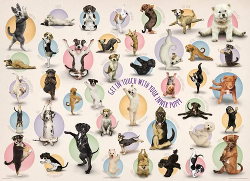 Vista 2 de EuroGraphics Yoga Puppies - Rompecabezas de 300 piezas (caja pequeña), multicolor
