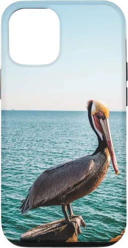 Vista 27 de iPhone 11 Pelican Case