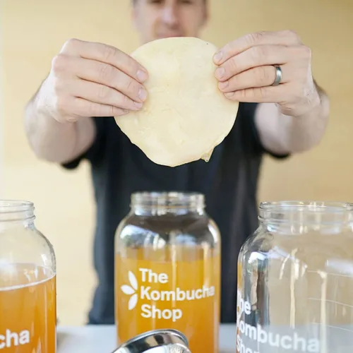 Vista 6 de SCOBY Kombucha Starter Kit 100% orgánico - 100% garantizado para preparar - Cultura fresca y viva con líquido de iniciación - The Kombucha Shop