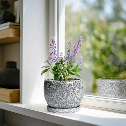 Vista 2 de SQOWL Maceta de cerámica para plantas - Maceta de cerámica de 6 pulgadas para interiores y exteriores, maceta decorativa para plantas con orificio