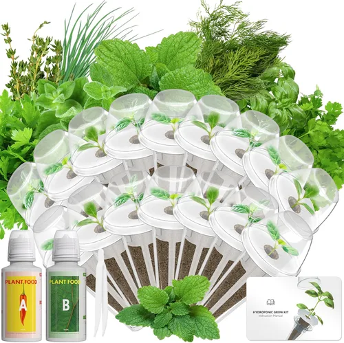 Vista 9 de Hydroponics - Vaina de semillas con albahaca genovesa y albahaca morada, kit completo de 8 cápsulas con esponja, canasta, cúpula, etiqueta