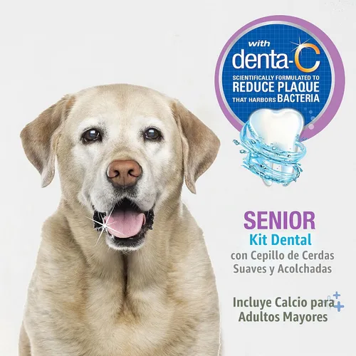 Vista 2 de Nylabone Advanced Oral Care - Kit dental para perros mayores con cepillo de dientes de cerdas suaves y acolchadas, 3