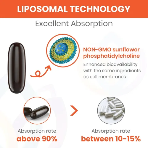 Vista 3 de Suplementos de fisetina de 1500 mg, potente absorción con entrega liposomal, 98% de fisetina pura, antioxidante de polifenol para un envejecimiento