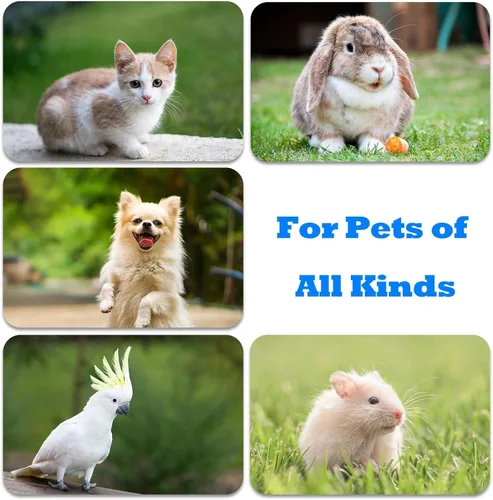 Vista 6 de Clicker de perro para entrenamiento con correa de muñeca, clicker de entrenamiento para cachorros, gatos, orinales, pájaros, caballos, mascotas