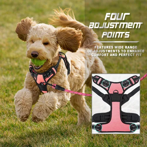 Vista 62 de BARKBAY - Arnés para perro sin tirones con clip frontal, material resistente y reflectante, asa de fácil control para pasear perros grandes