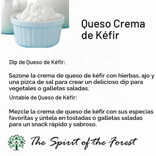 Vista 7 de Granos vivos de kéfir de leche - Live Active Starter Cultures Scoby para bebida probiótica casera para almendras, kéfir de coco o leche entera