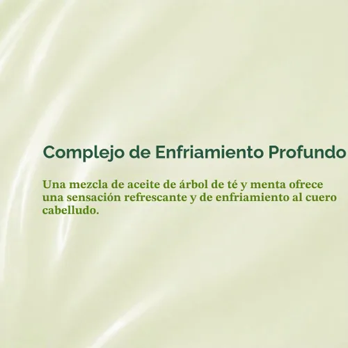 Vista 5 de Daeng Gi Meo Ri Tea Tree Cool Shampoo Cuidado del cuero cabelludo refrescante con árbol de té y aloe vera Refresca el cabello graso, hidrata