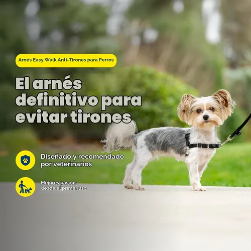 Vista 3 de Arnés de paseo fácil de PetSafe, Negro/Plateado