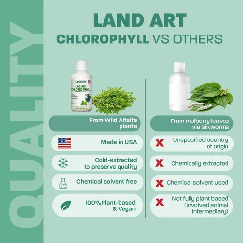 Vista 6 de Land Art - Menta de clorofila líquida - Extraída en frío de alfalfa silvestre sin OMG - Clorofila Liquida natural - Antioxidante - Suplemento