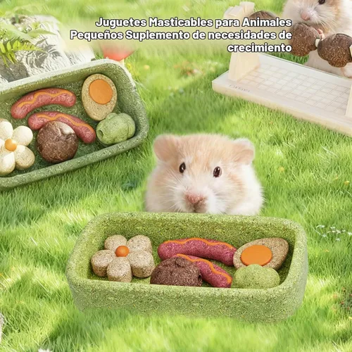 Vista 6 de mini&moe Juguetes masticables de hámster para dientes – Cuinea Pig, masticables y golosinas naturales para enriquecimiento de hámsters, mejoran
