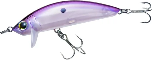 Vista 9 de Minnow de superficie costera 3D