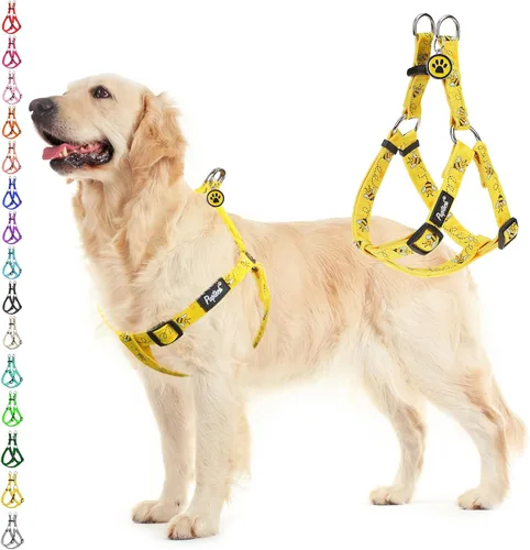 Vista 7 de Pupteck - Arnés para perros sin jalar, suave, ajustable, de nailon, talla básica, chaleco para cachorro, para caminar al aire libre con etiqueta