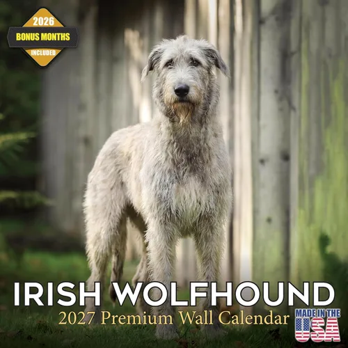 Vista 163 de Calendario de Lebrel Afgano 2025 2026, calendario mensual de pared de raza canina, 12" x 18" abierto, papel grueso sin traspaso, ideal para regalo