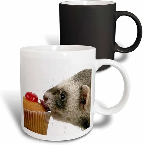 Vista 12 de 3dRose Ferret Eating Cupcake 15oz Two-Tone Black Mug