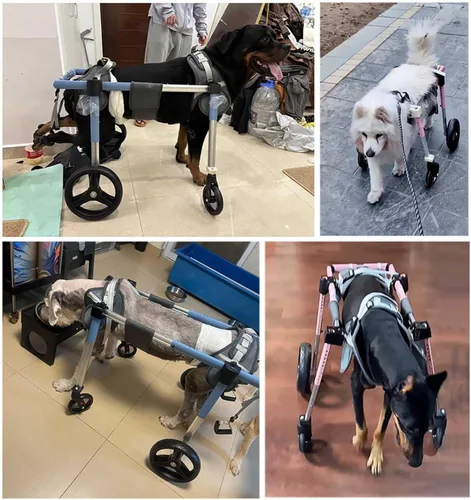 Vista 6 de Silla de ruedas para perros con patas traseras discapacitadas para caminar, silla de ruedas de aluminio para perros, soporte para silla de ruedas