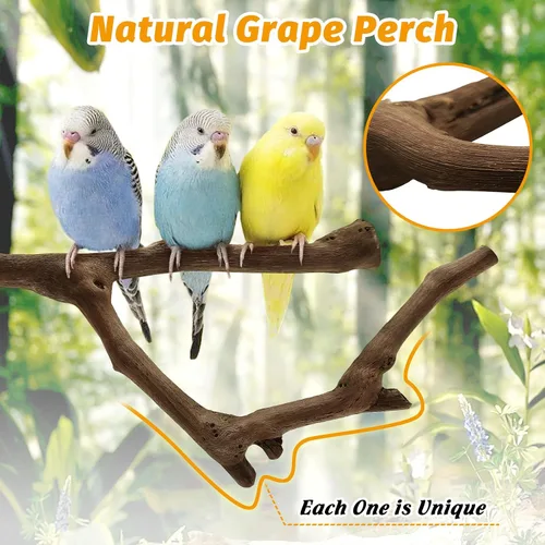Vista 3 de kathson 3 piezas de perca natural de loro para jaula de madera para pájaros de uva, palito de pájaro de uva, periquitos, ramas de pie, juguete