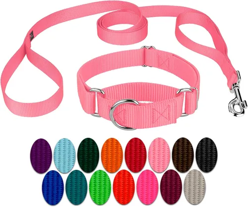 Vista 22 de Country Brook Design - Collar de perro de nailon Martingale y correa de doble asa-Negro-S