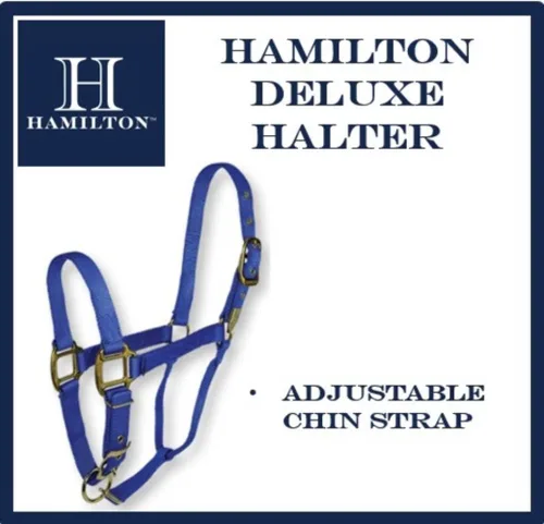 Vista 4 de Hamilton Deluxe - Caballo ajustable, 100-200 libras, color negro Premium Quality 3/4" Triple Ply Nylon, Foal/Mini Horse, Adjustable Chin Strap