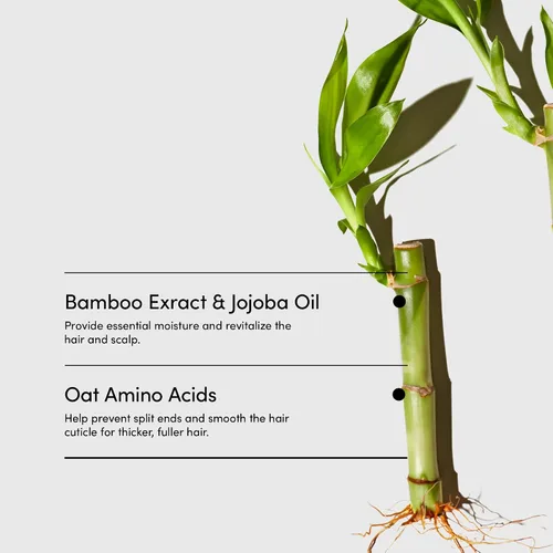 Vista 5 de LATHER Bamboo Crème Hair Wash Champú de aceites esenciales Champú para hombres y mujeres Acondicionador natural, orgánico y sin sulfato