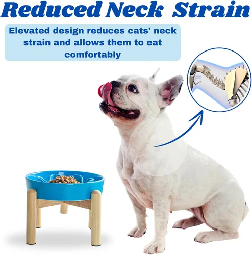 Vista 5 de Cuenco elevado de cerámica para perros con soporte de madera Azul