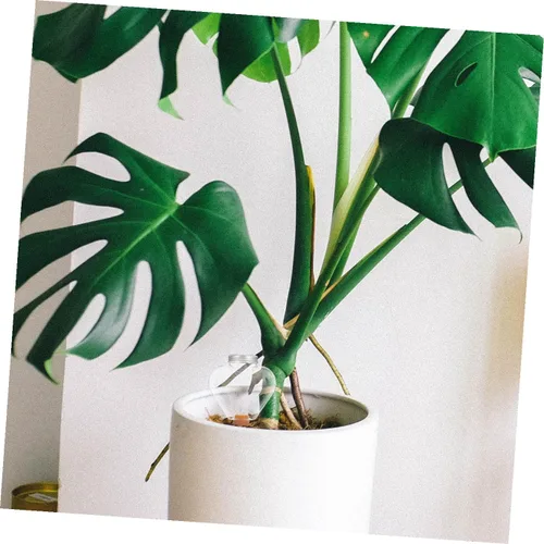 Vista 7 de Healeved Dispositivo de riego automático Globos de riego automático Sistema de riego de plantas Bombillas de riego automático Plantas Herramienta
