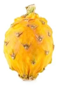 Vista 2 de KEJORA Fruta fresca del dragón amarillo, juego de 8