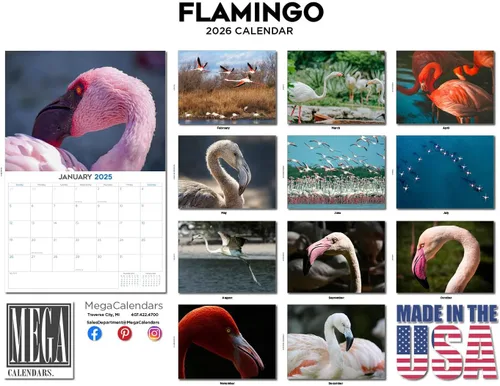 Vista 153 de Calendario de grises africanos 2025 2026 – Planificador mensual de pared de aves africanas – 12 x 18 pulgadas (abierto), calendario de pared