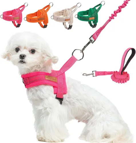 Vista 16 de BEAUTYZOO Arnés para Perros Pequeños, Juego de Arnés y Correa sin Tirones, Arnés de Pecho para Cachorros a Prueba de Escapes con Mango, Arnés Beige