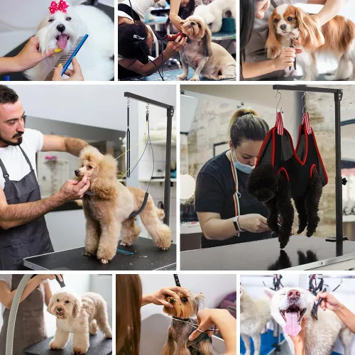 Vista 7 de KELIXU Brazo de aseo para perros con abrazaderas, brazo de mesa de aseo para mascotas con arnés de hamaca y dos soportes para evitar sentarse