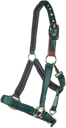 Vista 8 de Dura-Tech Cabestro de caballo totalmente acolchado de lujo Superposición de tela de nailon de doble capa de 1 pulgada Hardware resistente