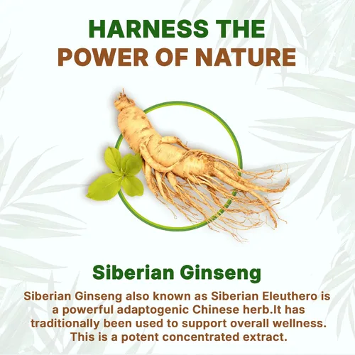 Vista 4 de Go Nutra Ginseng siberiano - Polvo de raíz de Eleuthero Extracto 4:1 4 veces más fuerte Apoya la energía y la resistencia Natural