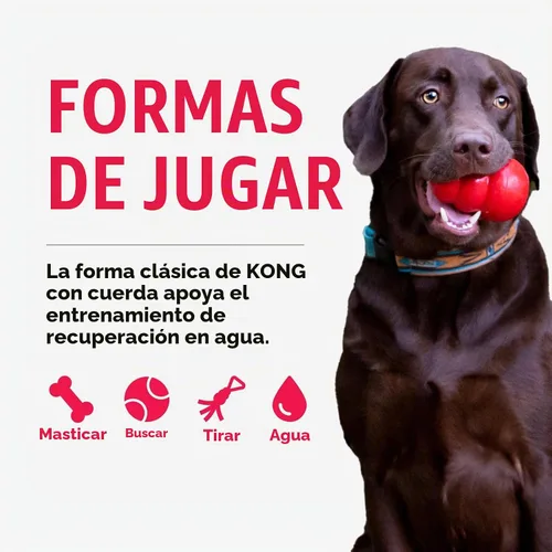 Vista 4 de KONG - Aqua - Juguete flotante para jugar en el agua - para perros medianos