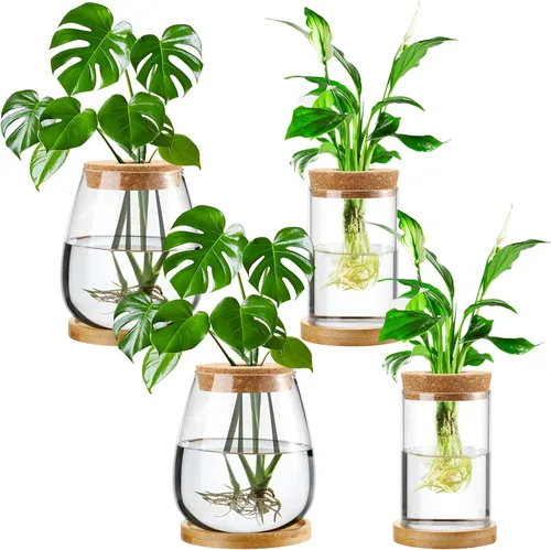 Vista 12 de Layhit 4 piezas de estaciones de propagación de plantas, jarrones de vidrio con tapa de madera y soporte de bambú para plantas hidropónicas, regalos