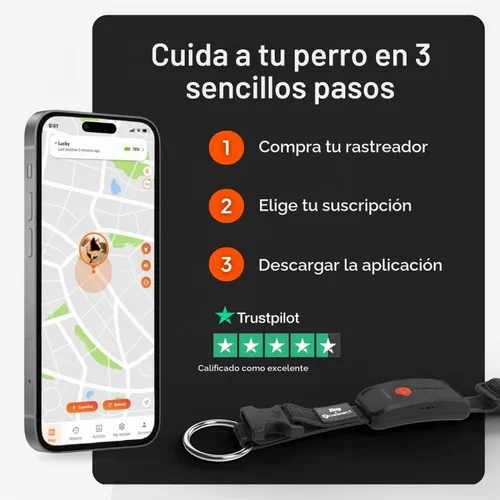Vista 8 de Weenect Dog XT - Collar de perro GPS Se requiere suscripción Negro