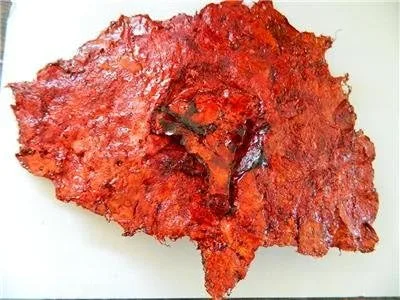Vista 6 de Dead Head Props Carne de látex con accesorio realista para los ojos