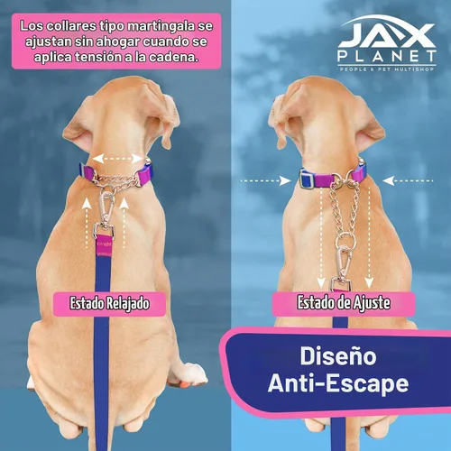 Vista 4 de Jelly - Collar para perro martingala impermeable, collar de nailon sin tirones con hebilla de metal de aleación y anillo en D para entrenamiento