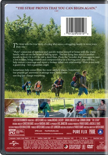 Vista 2 de The Stray