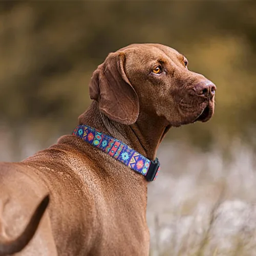 Vista 2 de Collar de perro suave ajustable: estampado de flores rosadas, multicolor, lindos patrones para mascotas, talla XS, pequeña, mediana y grande