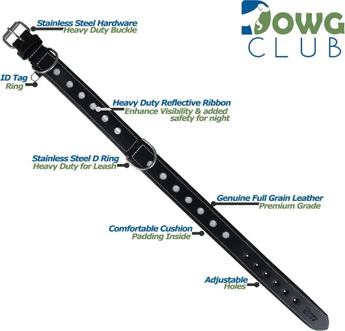 Vista 2 de Collar de Perro de Cuero Genuino Grano Completo, Resistente Cómodo, Acolchado, Fuerte Ideal para Cachorros, Razas Pequeñas, Medianas
