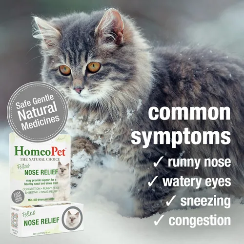 Vista 4 de HomeoPet Alivio Nasal Felino, Suplemento Seguro y Natural para el Nasal y Senos de los Gatos, 15 Mililitros