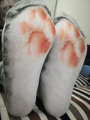 Vista 4 de Divertidos calcetines de patas de animal para intercambio de regalos.