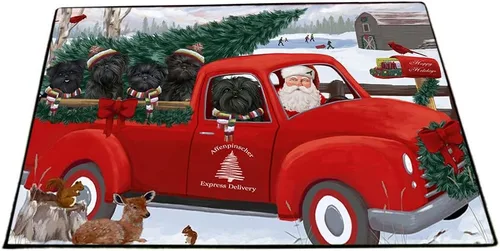 Vista 27 de Doggie of the Day Affenpinscher Dogs Floor Mat - 4th of July Independence Day - Best Dog Doormat - Protector Decor - Unique Portrait Art - Premium