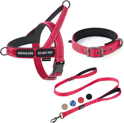 Vista 7 de Annchwool Arnés para perro sin tirones, juego de collar y correa reflectante resistente - Correa para perro con doble asa y clip de cinturón