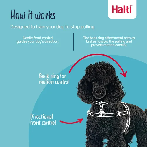 Vista 2 de Halti Arnés de control frontal tamaño mediano y correa de entrenamiento Halti tamaño grande, paquete combinado negro – evita que tu perro tire