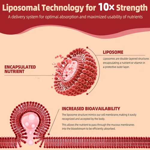 Vista 3 de VPKIN Suplemento liposomal de urolitina A de 1000 mg, con NAD+, CoQ10, PQQ, resveratrol y piperina, para renovación celular y apoyo mitocondrial, 60