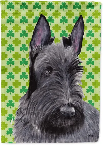 Vista 300 de Caroline's Treasures SS4442GF Affenpinscher Bandera de jardín con retrato de trébol del día de San Patricio para buzón, bandera decorativa