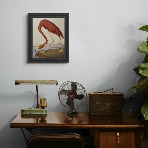 Vista 4 de Lost Cabin American Flamingo por James Audubon Impresión en marco biselado negro Reproducción de pintura de obras de arte finas Póster